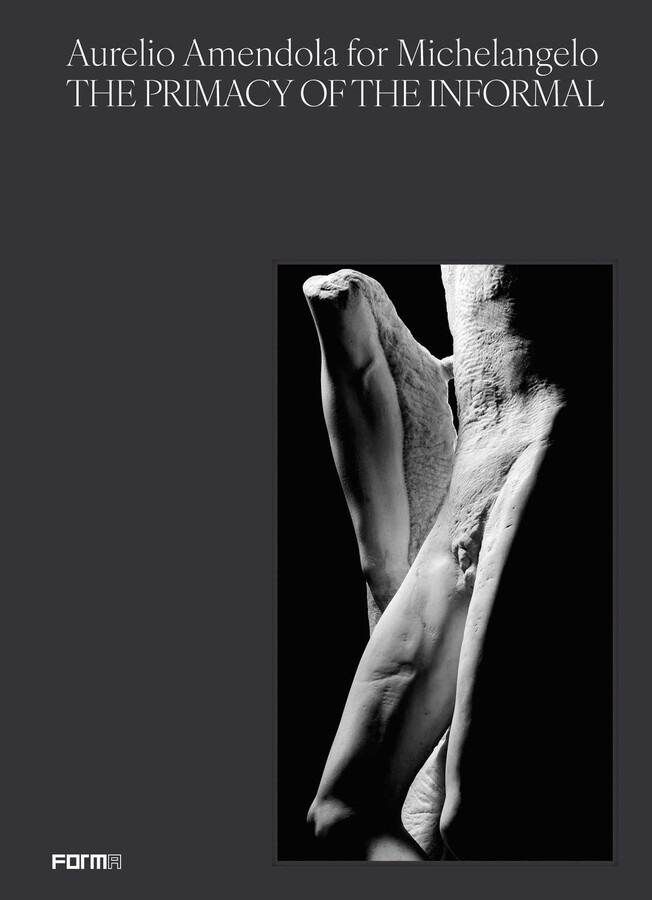 Aurelio Amendola for Michelangelo - Unified Book Distribution